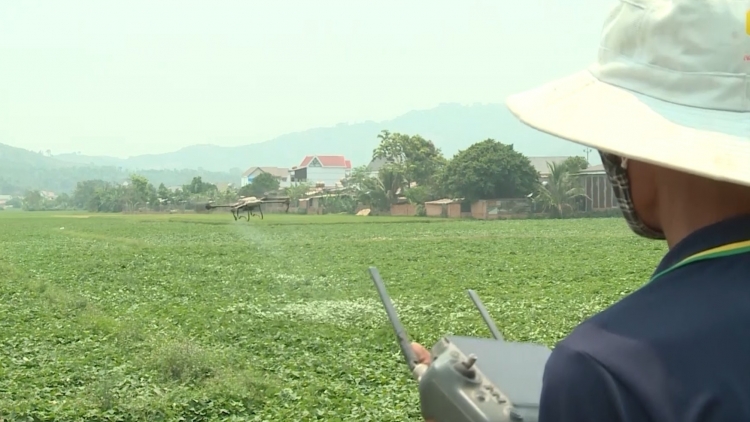 Kuăn pơlê Dak Lak xúa kơmăi ki kơneăng ôh tá ai mơngế vê (Drone) tôh têa, rơvât phon ăm hdrê pêt