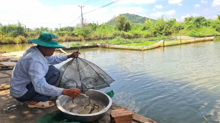 Ngon tô thứ 5 mự  15 căm  bườn 6 pì 2023 –  Gia Lai: Po hay me na chang ngắm pùn dệt hăng, phổng bản na piến thái lài dong