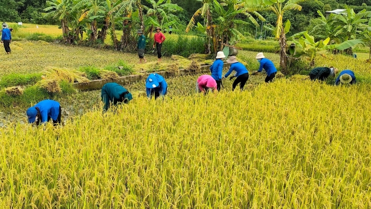 Đha đhâm c’mâr Nam Giang tă p’răng, lươt găt ha roo zooi đha nuôr