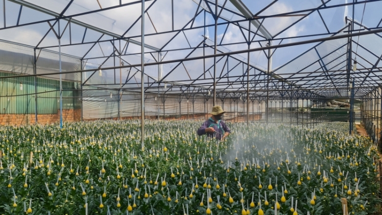 Đạ Nhim mđĭ hĭn bruă klam mơ̆ng đảng viên mnuih djuê ƀiă