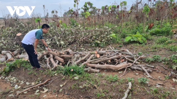 Gia Lai kiăng pơplih kual lŏn pla bôh ñông tŭ yua