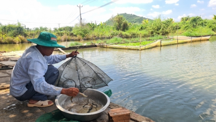 GIA LAI: URANG NONG KHANG HATAI NGAK KAYA MEDA, PALEI PALA BAHRAU DAK HAREI DAK HADAH HADAI