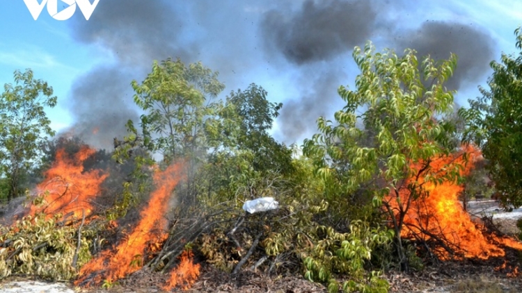 Quảng Nam: “Och” crâng chr’năp đoọng pa choom cha groong rooh cat