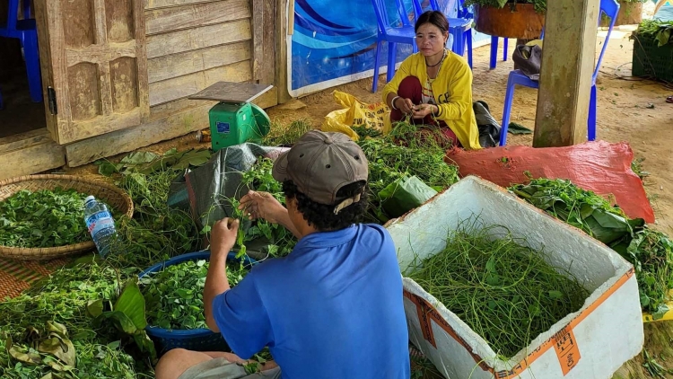 HTX Nông nghiệp sinh thái crâng t’viêng r’veh liêm: Zooi đha nuôr Cơ Tu c’lâng pa câl bh’nơơn