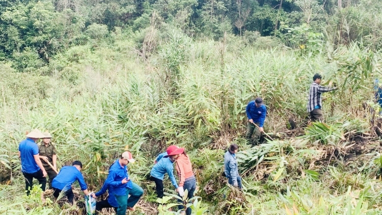 Bắc Trà My: Choh crâng n’loong ga măc đhị đhăm ga măc