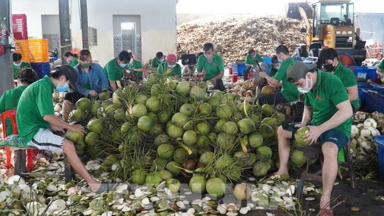 KREH BILAN 8 MEDA PASANG IEK TAPAK DOM BHUM PALA, LABIK TAME PAOK LA-U THAT PABLEI TAPA DARAK PASAR TRUNG QUỐC