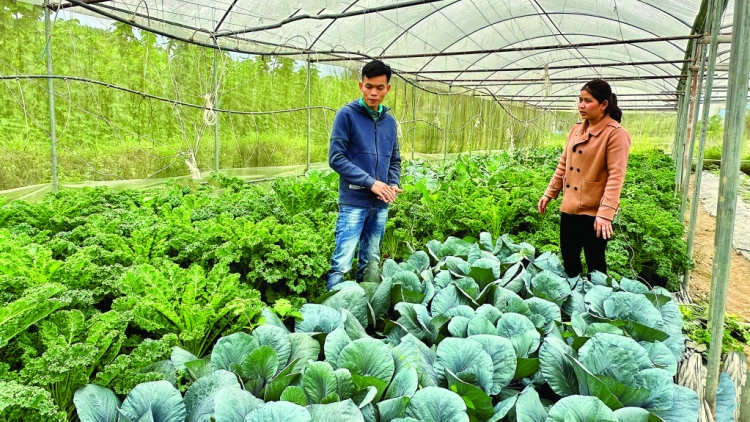 CHÀI KỊ SƯ AU TÀNG DƯỞNG ĐĂM CHAY MẤƯ MÀ CAO BẰNG