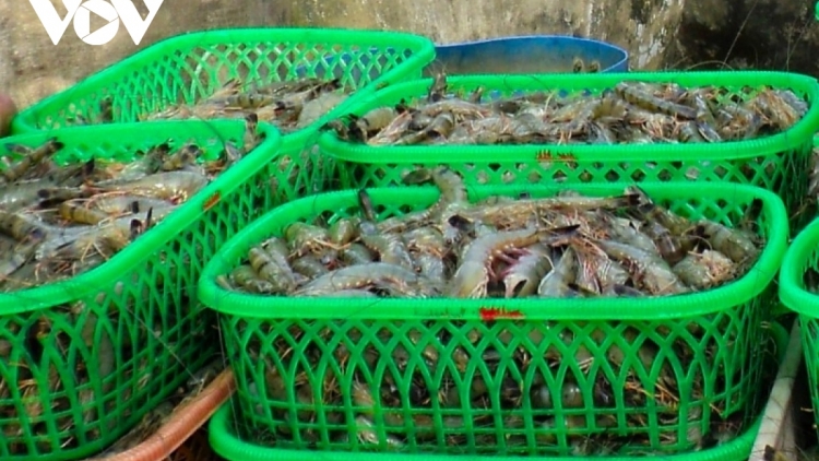 RAHRA CÀ MAU HADUH HATAI KAYUA YAOM HADANG TRUN BIER 