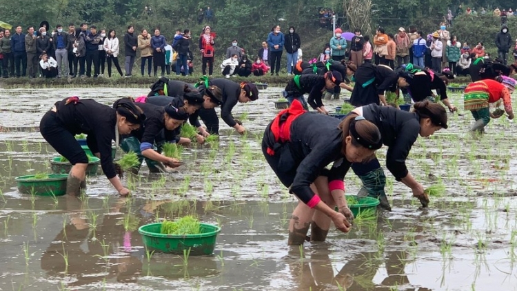 ĐIỆU THEN QUANG BÌNH