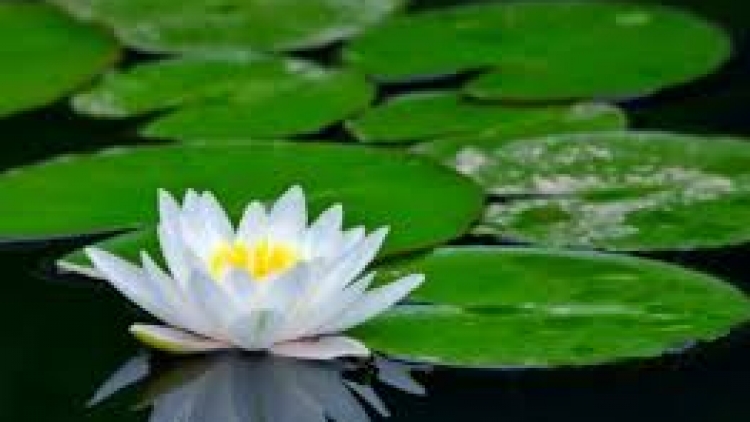 T'RUIH PA XƯL T'NGAY 11/7/2023