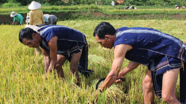 Bơto sồr oh kòn kòn sau tryang tryồng lơh broă sa