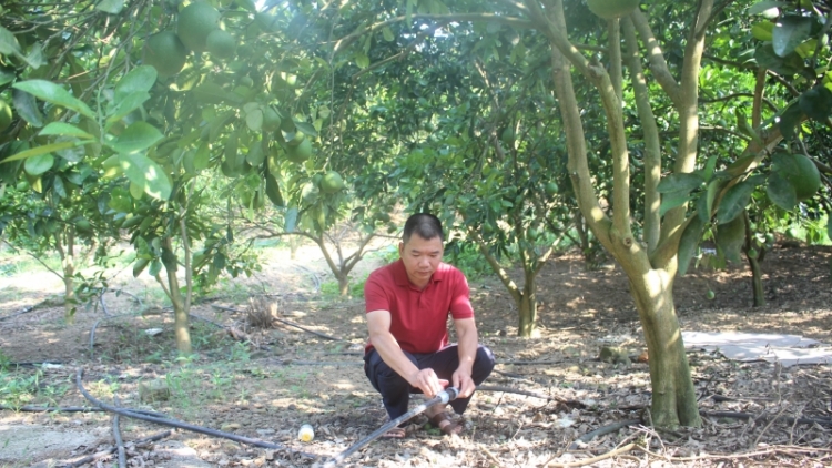 Lầy tzình  phát sinh ìu miền vả thứ 5 hoi 13.7.2023