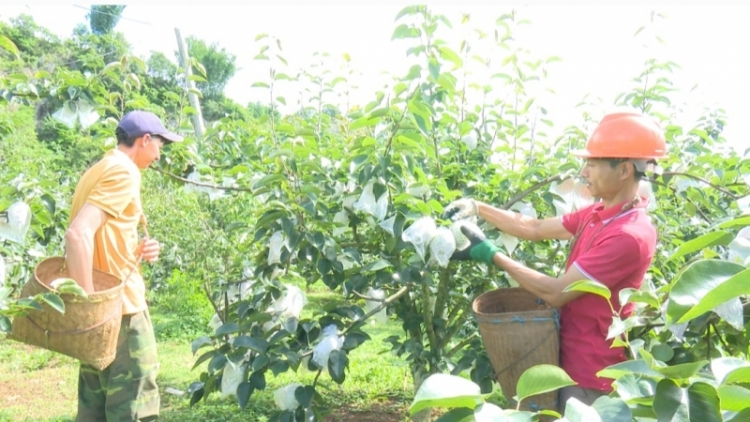 Lầy tzình  phát sinh ìu miền vả thứ 4 hoi 12.7.2023