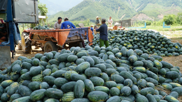 Đha nuôr Đà Nẵng tr’xăl tơơm chr’noh đơơng chô bâc bh’nơơn dal