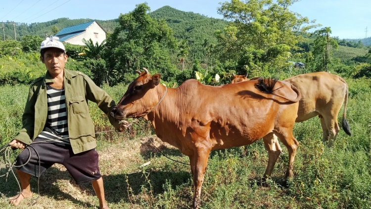 Pr’lúh cr’ay n’căr c’cọ ooy t’nooi k’roóc cóh Bắc Trà My (Quảng Nam) bhrợ trơơi boọ đấh