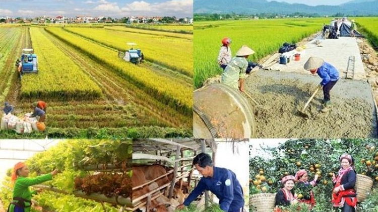 Tháo gỡ khó khăn, thúc đẩy triển khai thực hiện 3 chương trình mục tiêu quốc gia