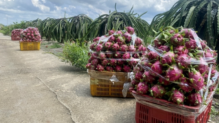 BÀ RIA-VUNG TAU TANI TANAT BHUM PALA PHUN MBANG BAOH PIAH PLAIH PABLEI TUH, PABLEI THAC