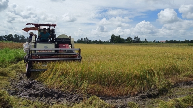 ពត៌មាន ម៉ោង​ ៦