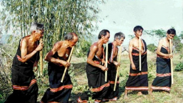 Chok dê̆ kon chim bri (Bắt chim trong rừng)