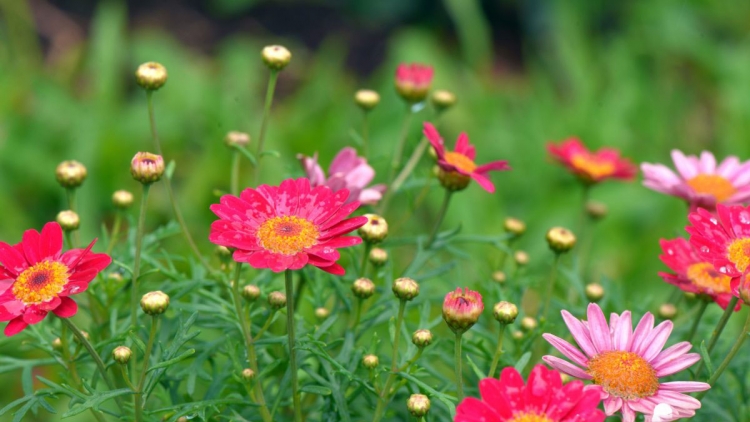 T'RUIH PA XƯL T'NGAY 4/7/2023