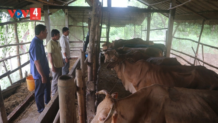 លោកស៊ឺងឡុកយុទ្ធជនពិការខ្មែរពុះពារលំបាកធ្វើសេដ្ឋកិច្ចពូកែ