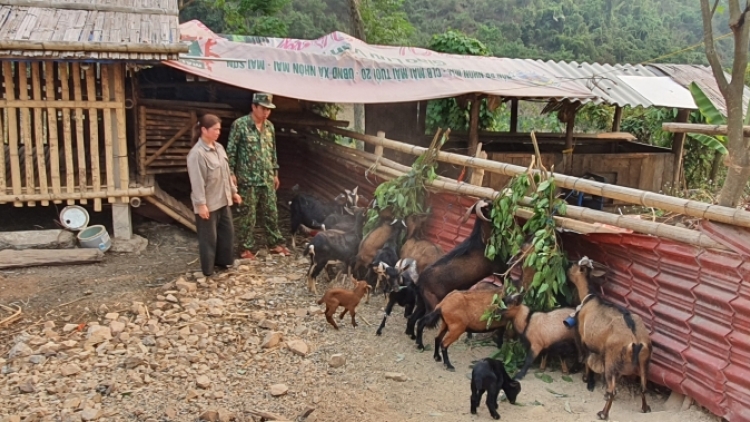 Tă bơsong kòl yan lam lơh Broă lơh jơnau kờñ dà lơgar bơtàu tơnguh lơh sa tiah làng bol jơi bơtiàn dùl êt nă cau mờ tiah kơh bơnơm