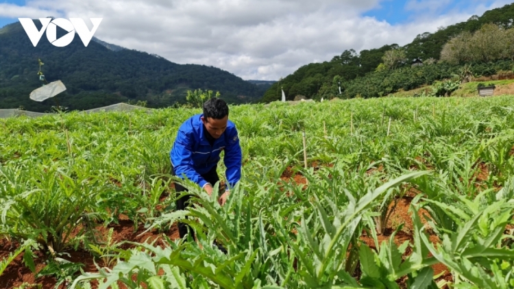 កម្មវិធីគោលដៅជាតិរួមចំណែកធ្វើឲ្យផ្លាស់ប្តូរទិដ្ឋភាពជនបទនៅឡឹមដុង