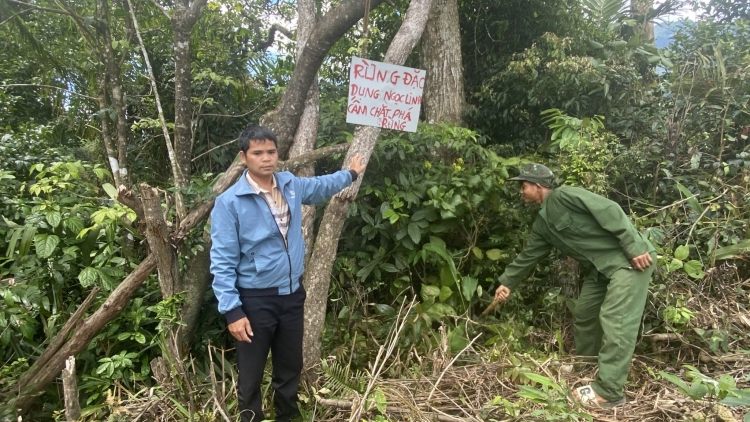 Bơngai Jeh vei lăng bri 