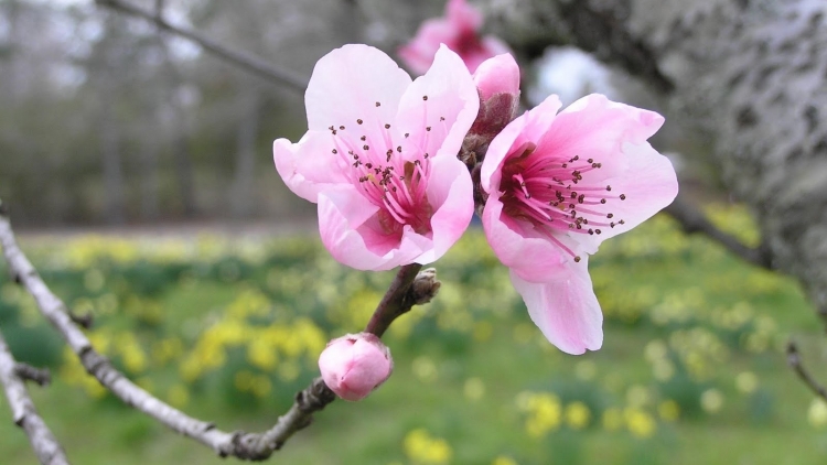 T'RUIH PA XƯL T'NGAY 10/7/2023