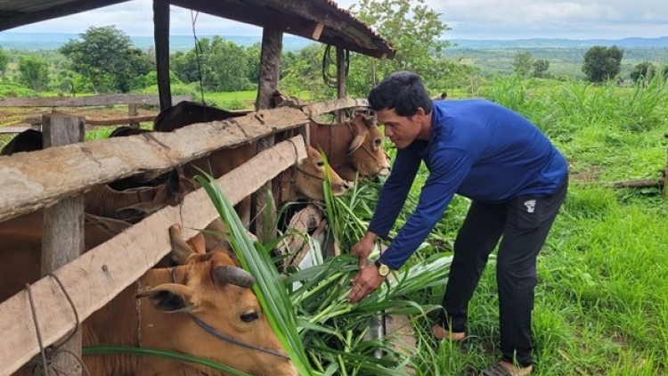 Làng bol Tây Nguyên ngui priă càn geh cồng nha