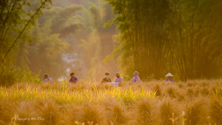CHƯƠNG TRÌNH KHAY HENG TÀY NÙNG  (Thứ Sáu- Vằn xo 01/09/2023)