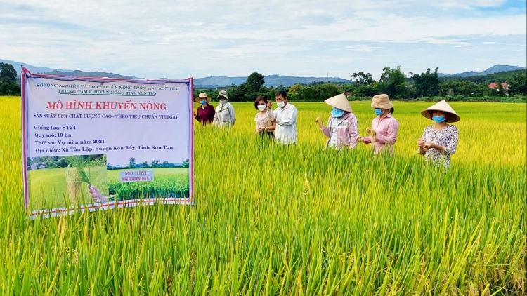 HUYỆN NINH PHƯỚC NGAK PADAI TUI CHUẨN VIETGAP