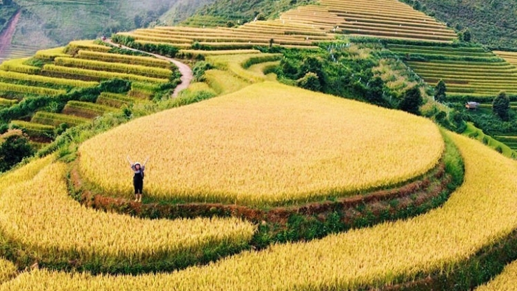 Phai paz nhây phiến