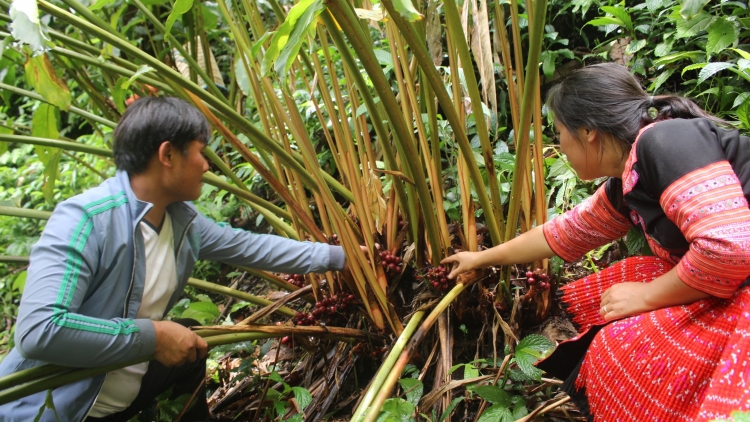 Ngon tô thứ 5 mự  17 bườn 08 pì 2023 – Nghịa hặc panh ín xương căn cuông mua phôn nong