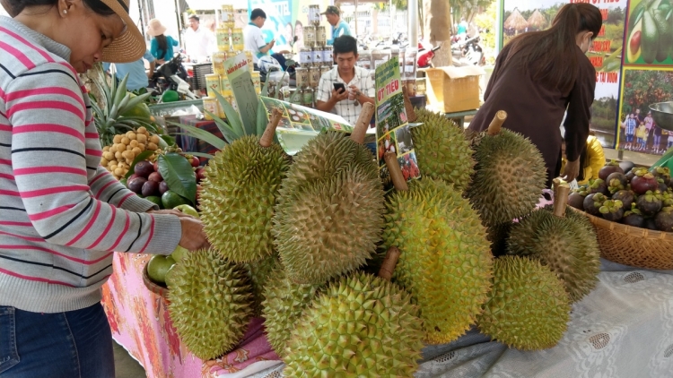 LONG KHÁNH: CAKROK PATAGOK BRUK NGAK NONG ĐÔ THỊ