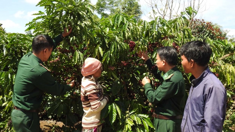 Bi mlih klei mĭn, hdră ngă čiăng tlaih kơ ƀun