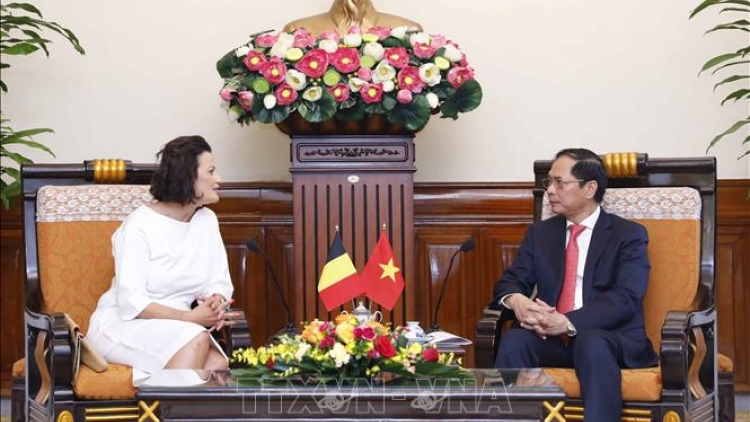 Bộ trưởng Ngoại giao Bùi Thanh Sơn wơt Kruanh Thượng viện Bỉ