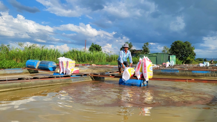 Kơƀah pơtô ba, Dak Lak  huač 2/3 đơ đam jơlah ia rông akan hơdang 