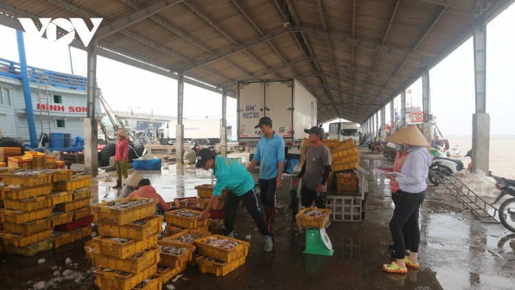 ការកសាងកំពង់ផែត្រឹងឌេ ជាគន្លឹះដោះស្រាយចំណុចកកស្ទះខាងការដឹកជញ្ជូននៅដីសណ្ដទន្លេគឺវឡុវ។