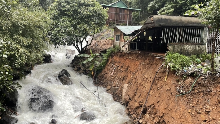 Lâm Đồng pŏk ngă dŭm hdră msir gang mkhư̆ klei klưh hroh lăn