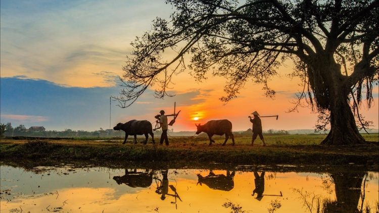 TRĂNG CHIỀU, RU CON MÙA ĐÔNG