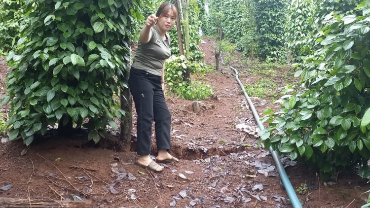 Dak Nông: Nau mra pling nglau dak tât, ntrơn ndal 34 rnăk ƀon lan