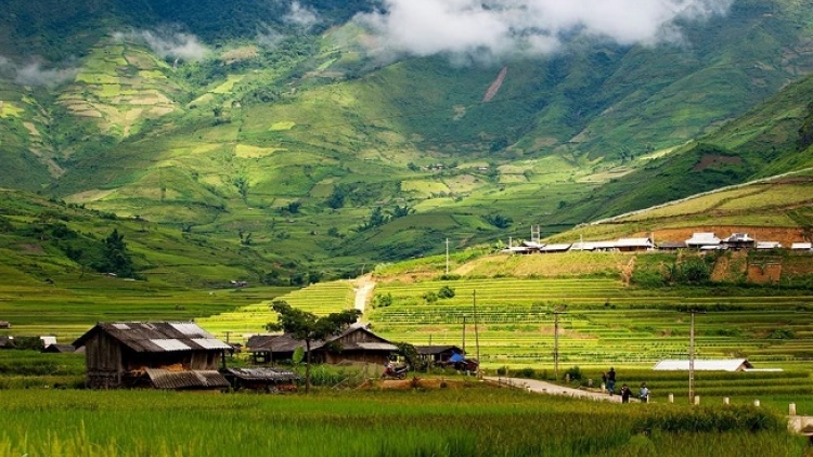 Phai paz nhây phiến