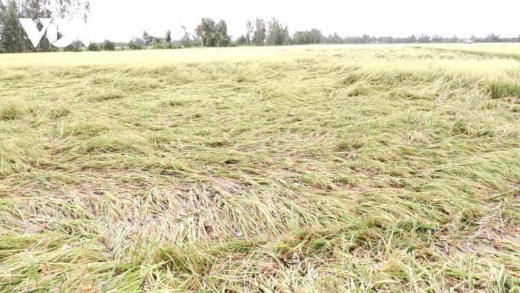 ពត៌មាន ម៉ោង ១៥