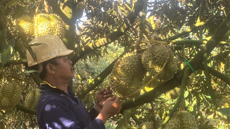 Dôm Đảng viên bơngai Ê đê pơm jŭk yŭk trong hơlâu tơ̆ Ea Tul