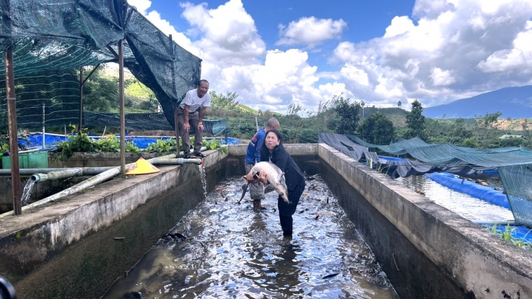 Yak rơbat phrâo ƀơi tơring glông ƀun rin hloh tơring čar Lâm Đồng