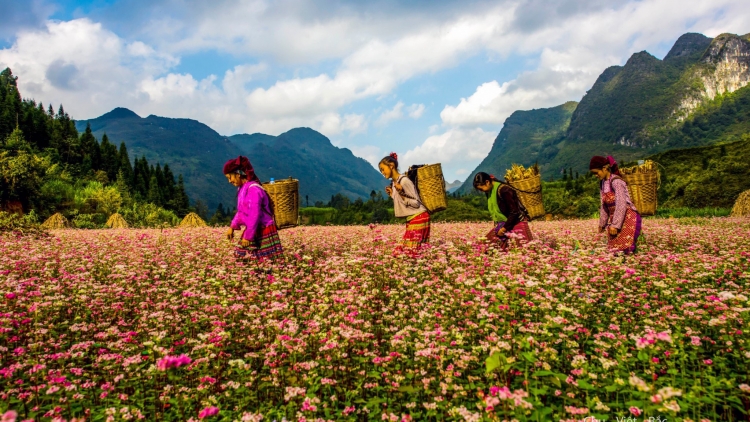 Danak dak sap Cam 05_09_2023