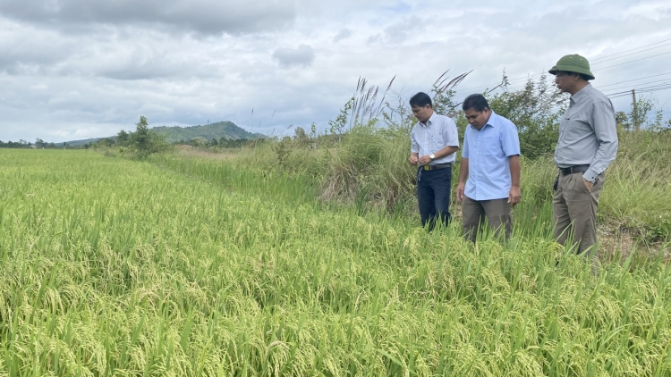 Hơm răm ta ndrĭch lŏ 132 ta Ea Kar (Dak Lak) 
