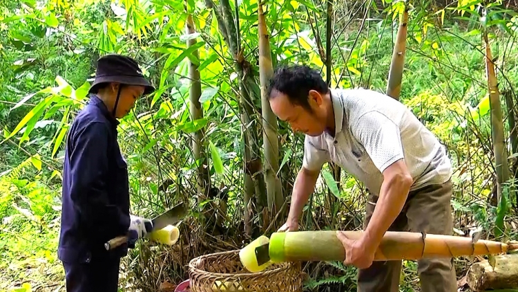 Chương trình phát thành quam Tay thứ 3 mự 12 căm bườn 9 pì 2023