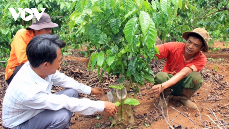 Mâu tơdroăng pơchân tung ‘mâi pêt kơphế